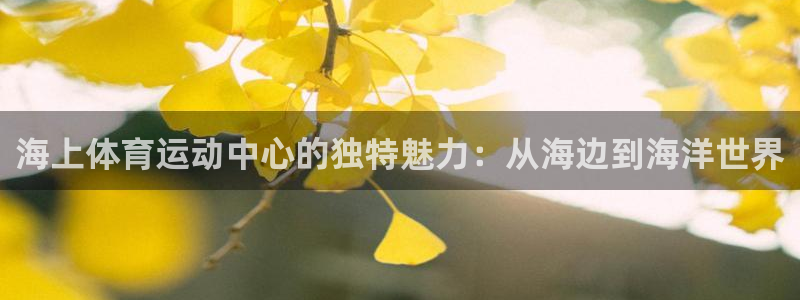红蓝体育平台怎么样