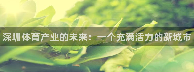 红蓝体育封卡吗：深圳体育产业的未来：一个充满活力的新城市