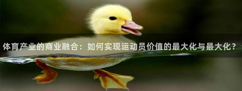红蓝体育黑我钱