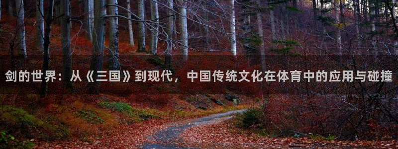 红蓝体育网页版入口