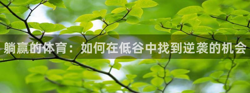 红蓝体育最新域名