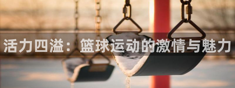 红蓝体育APP官方免费版：活力四溢：篮球运动的激情与魅力